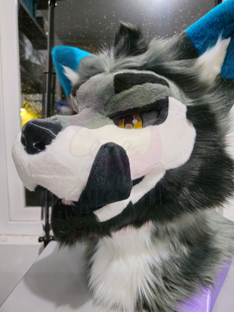 Chonky_Tiel's tweet photo. Neon Wolfeh is done! ✅️ And he'll be on his way home tomorrow! 🐺
This wolf is a mini partial fursuit commission with 3D printed head made by Ab 3Design 🐦
#ChonkyTiel #ChonkyTielFursuits #ChonkyTielCreations #Furry #FurryFandom #FursuitMaker #FurMaker #Chonky https://t.co/fl4uHNLID0