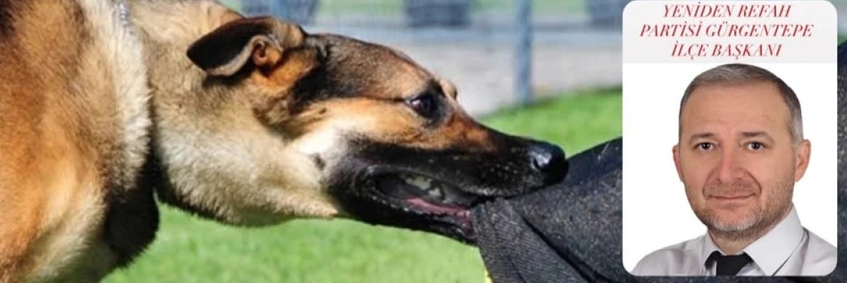 Ordu’da Yeniden Refah Partisi Gürgentepe İlçe Başkanı Oktay Kaya, başıboş köpek saldırısına uğradı. 

Ordu’nun Altınordu Akyazı sahilinde kafeler mevkiinde meydana gelen olayda edinilen bilgiye göre Başkan Kaya yürüyüş yaptığı sırada, başıboş bir köpeğin aniden saldırısına uğradı