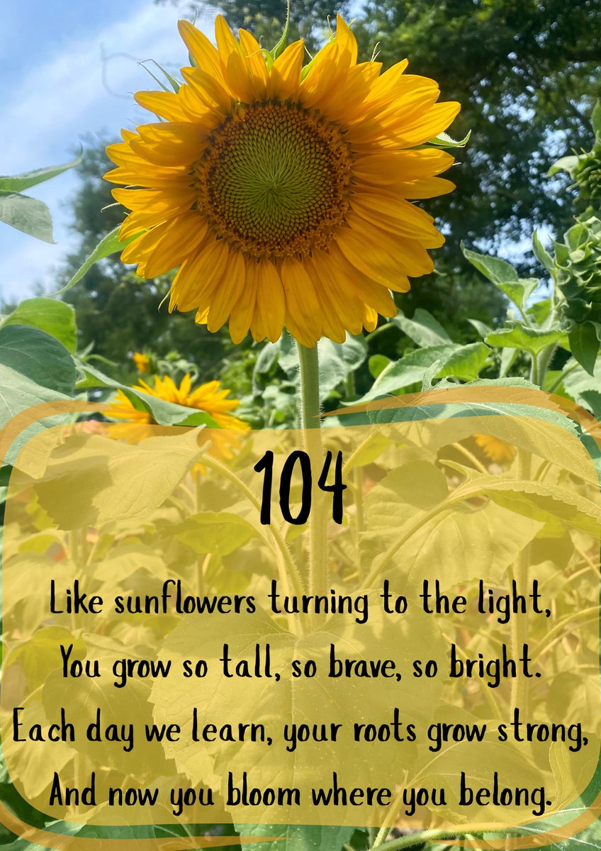 EmilyHalf91's tweet photo. A message for my Grade 1 students as our time together draws closer to an end 🌻🌻🌻 We planted sunflower seeds a while ago and now the first of them has bloomed ❤️ https://t.co/3dPsqrTrV7