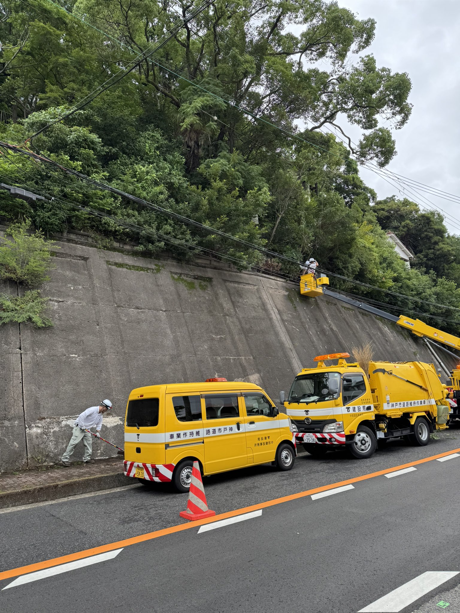 Amazon | がまかつ(Gamakatsu) 糸付 競技グレ(オキアミ) 3m 8号