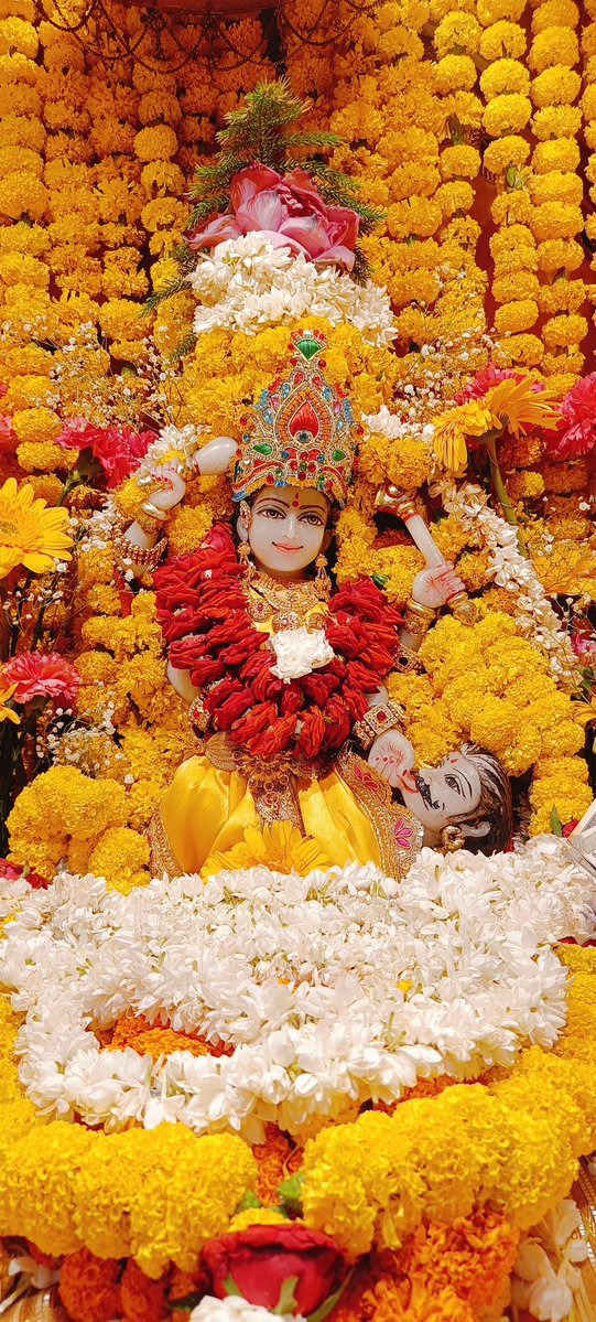 Goddess Bagalamukhi is a perfect example of duality. One can easily find peace and balance in life following her principles.