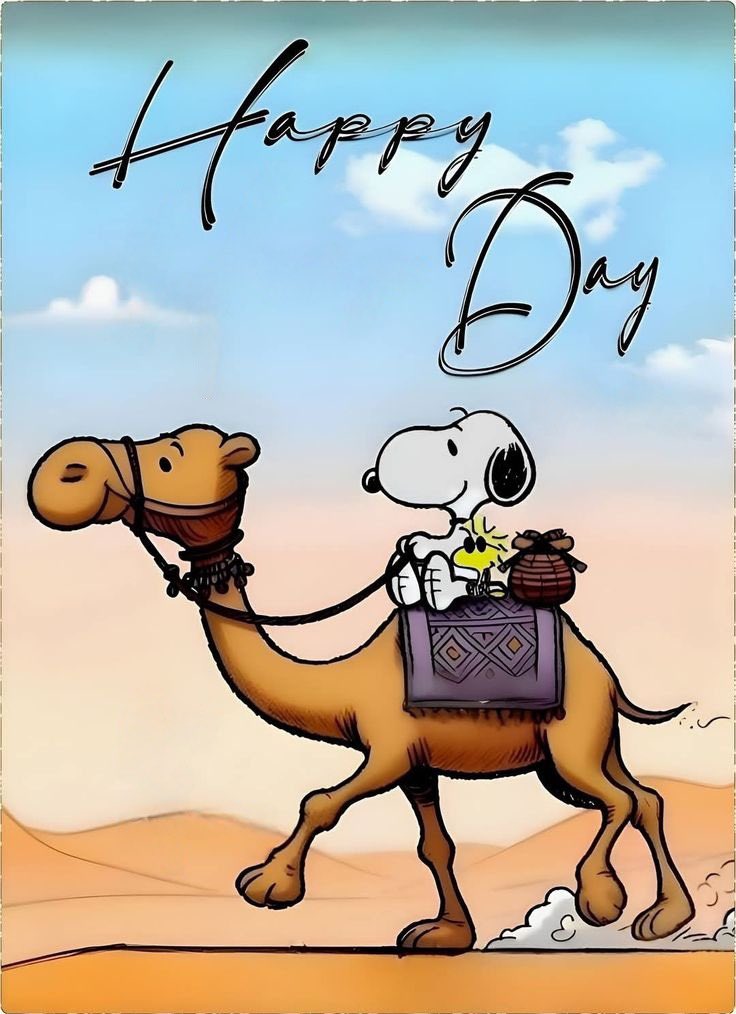 shawki shamsan (@shamanshawki) on Twitter photo 