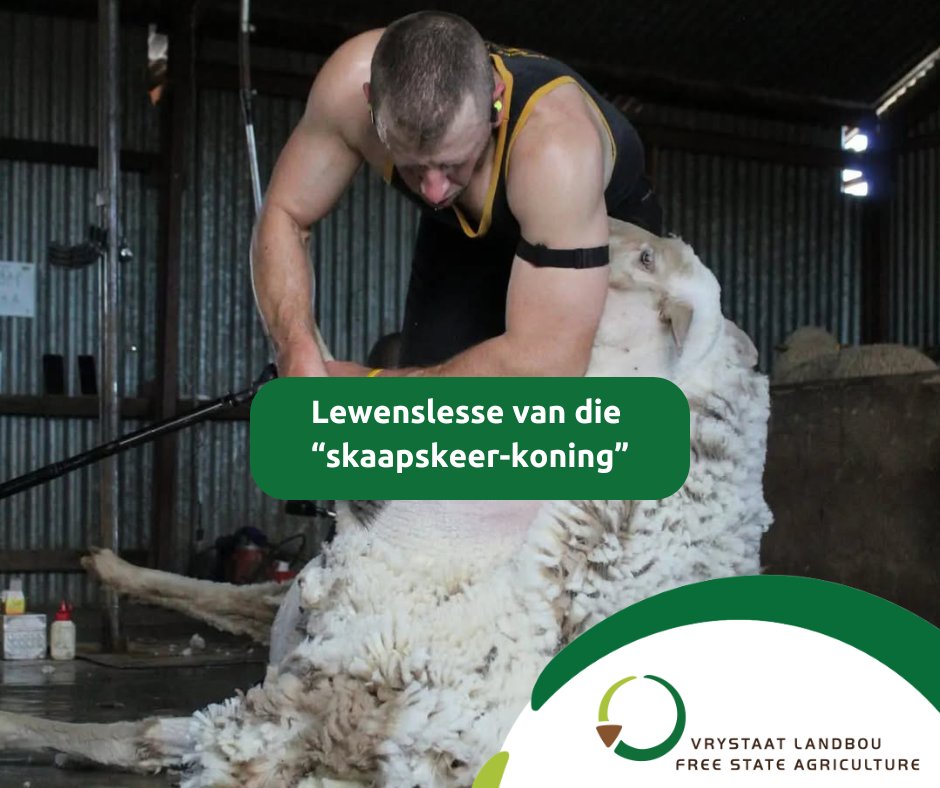 Tydens ons Jongboer-konferensie op 10 April het Tienie du Plessis, ’n Dohne Merino-skaapboer van Steynsburg in die Oos-Kaap en beter bekend as die “skaapskeer-koning”, inspirerende lewenslesse met ons gedeel.

youtube.com/watch?v=eARq7c…