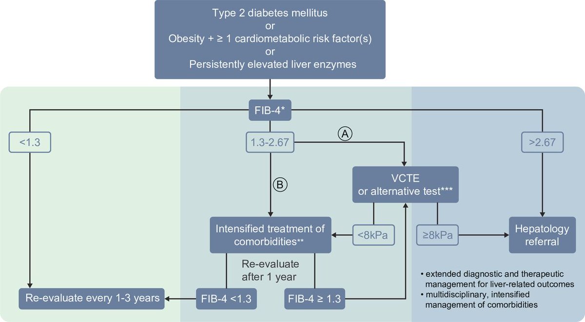 eGastroenterology (@egastro_bmj) on Twitter photo ๐Key takeaways from the updated multidisciplinary European MASLD guidelines
๐Algorithm for non-invasive risk stratification of individuals with suspected MASLD. #MASLD #LiverDisease #ClinicalGuidelines
๐ฉบPMID: 40510733
๐Read more: doi.org/10.1136/egastrโฆ
<a href="/Gut_BMJ/">Gut Journal</a> ๐Key takeaways from the updated multidisciplinary European MASLD guidelines
๐Algorithm for non-invasive risk stratification of individuals with suspected MASLD. #MASLD #LiverDisease #ClinicalGuidelines
๐ฉบPMID: 40510733
๐Read more: doi.org/10.1136/egastrโฆ
<a href="/Gut_BMJ/">Gut Journal</a>