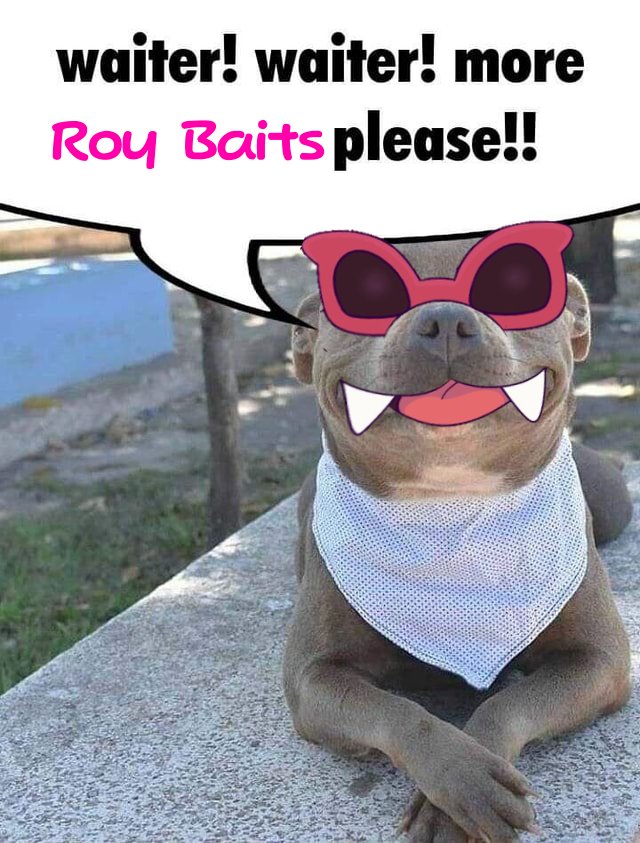 — 𝙍𝙊𝙔, 𝙏𝙃𝙀 𝙆𝙊𝙊𝙋𝘼 𝙏𝙔𝙍𝘼𝙉𝙏. tweet media