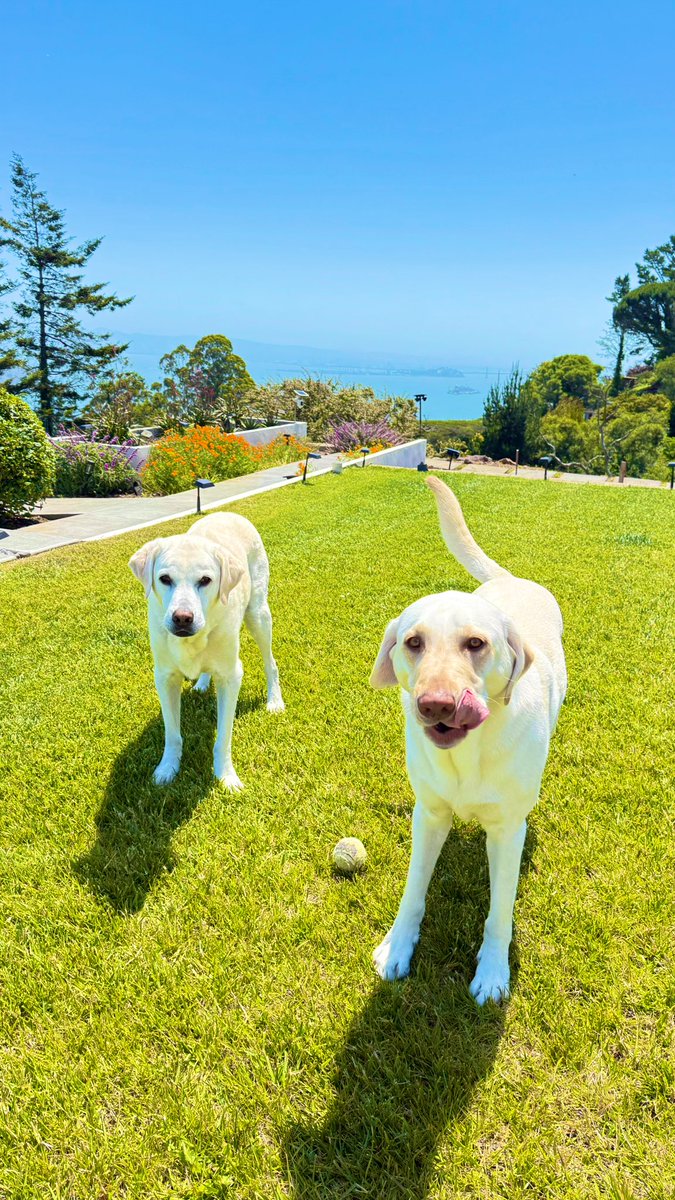 Bharat Vasan 🇺🇸 tweet media