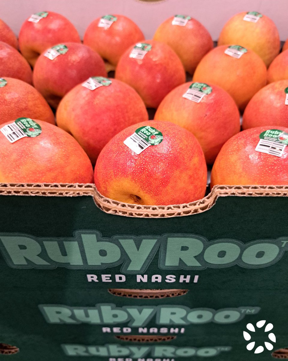 ifpa_anz's tweet image. Seeka just launched a game-changer at #HortCon25 — meet Ruby Roo™, the red-skinned, Aussie-grown nashi 🍐🔥 Crisp, juicy &amp;amp; refreshingly different.
Now at select Costco stores in NSW &amp;amp; SA. rubyroorednashi.com.au/?utm_content=s…