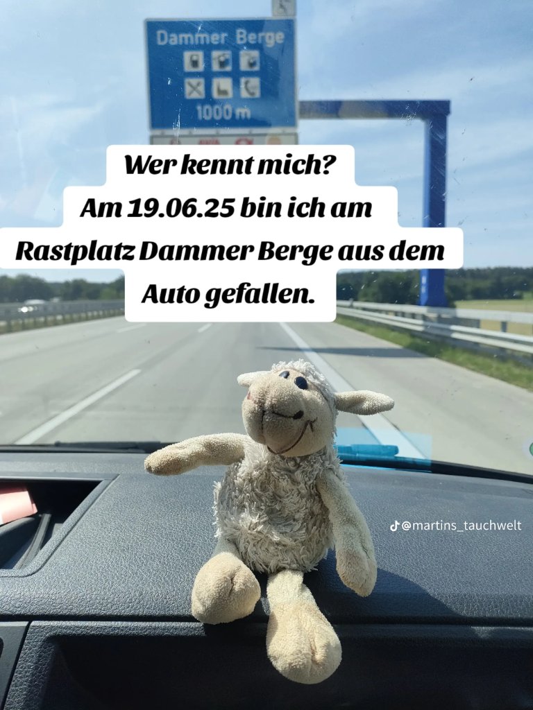 @martins_tauchwelt bei tiktok sucht den Besitzer dieses Schafes.
Bitte teilen, damit sich der kleine Schäfer oder die kleine Schäferin finden lässt.