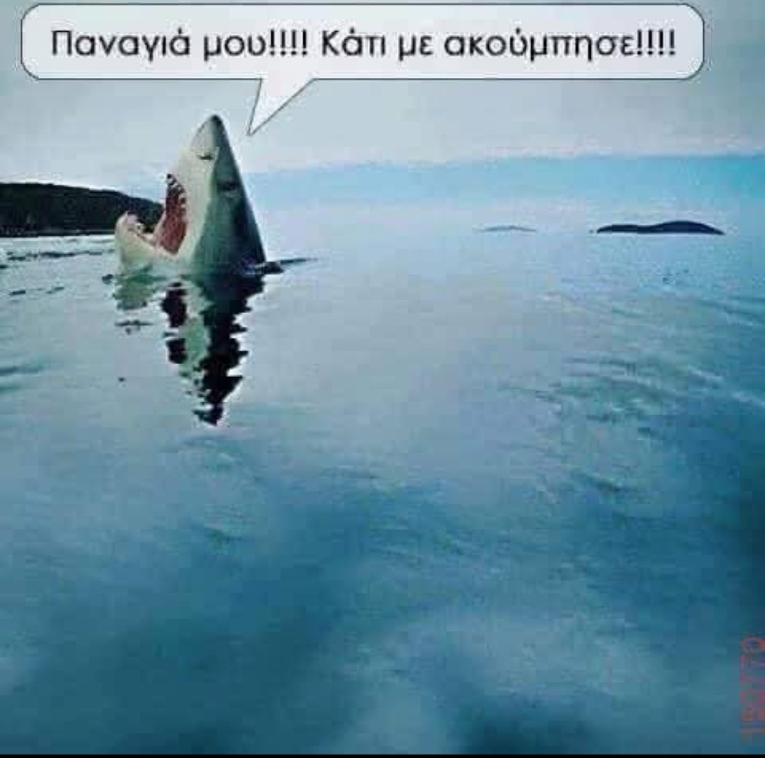 Ταυτιστείτε ελεύθερα 😂😂
Καλημερααα ημίτρελοι