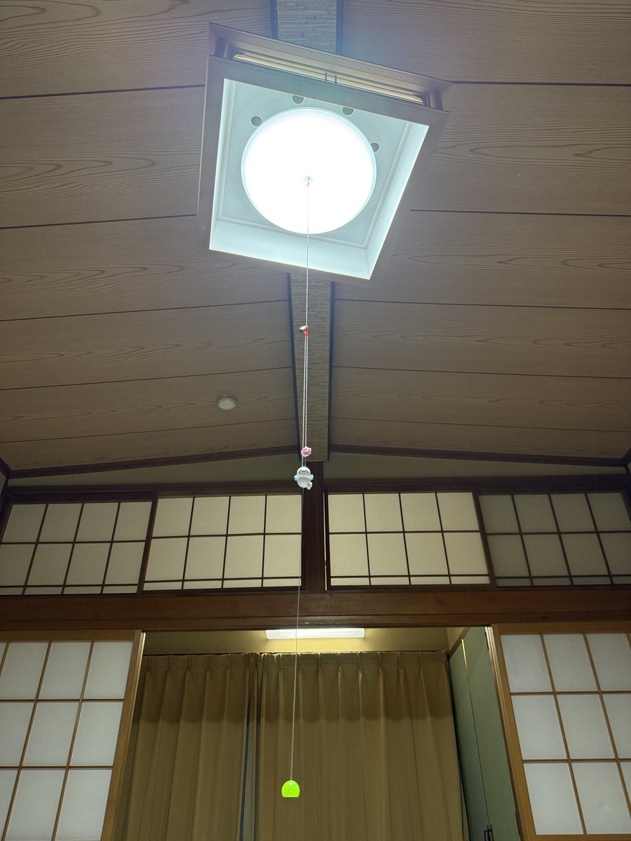 これは昨日旅館で電気消すのに大活躍したしろたん似のアザラシ