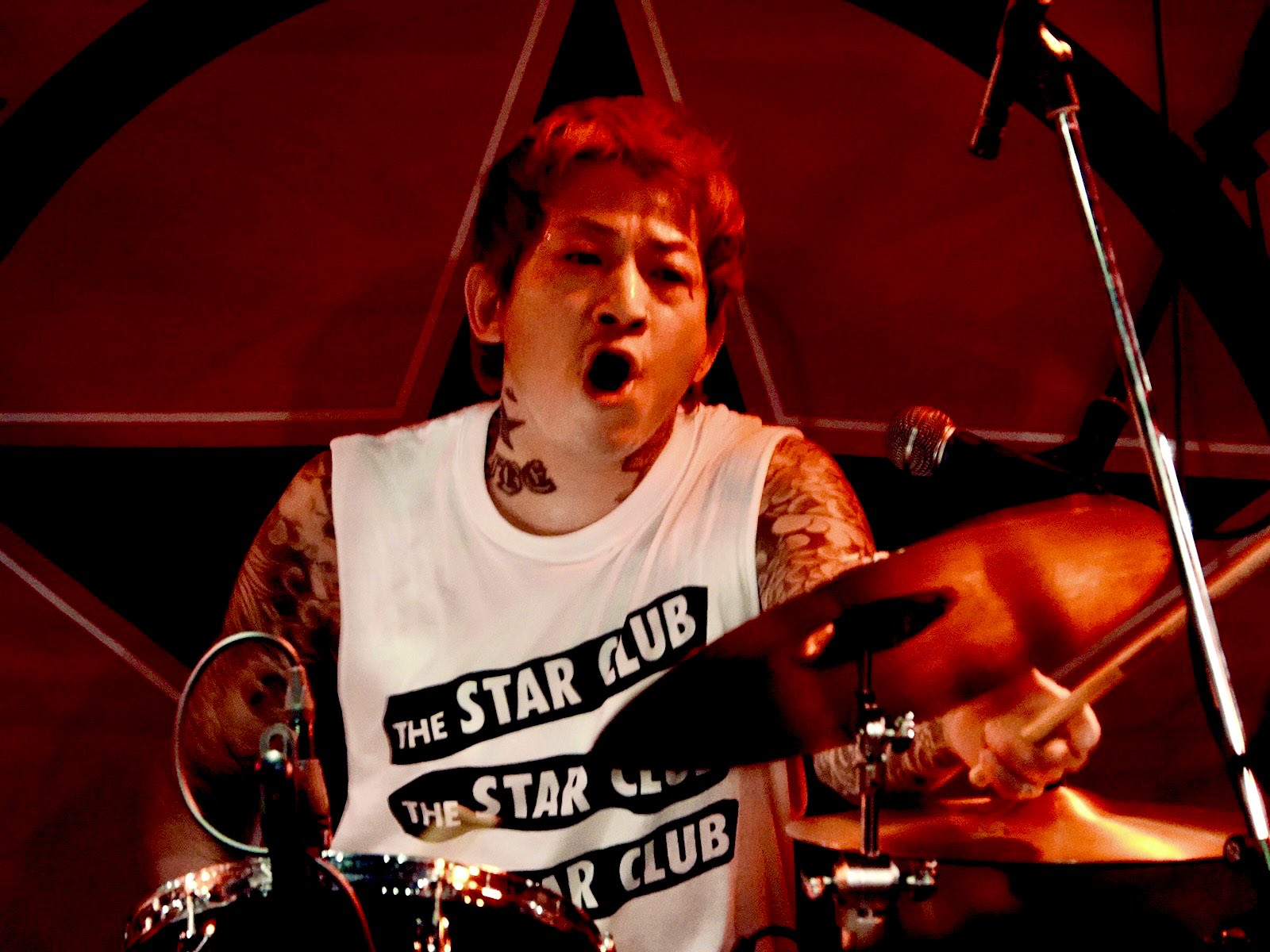 THE STAR CLUB on X: 