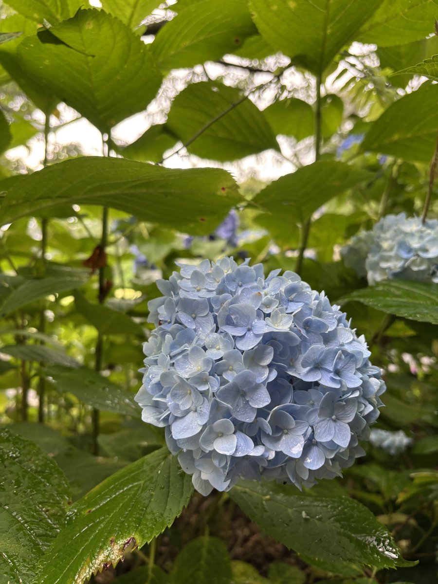 激務がひとまず落ち着いた。
ご褒美が消えたけど、のんびりすごすんだ。