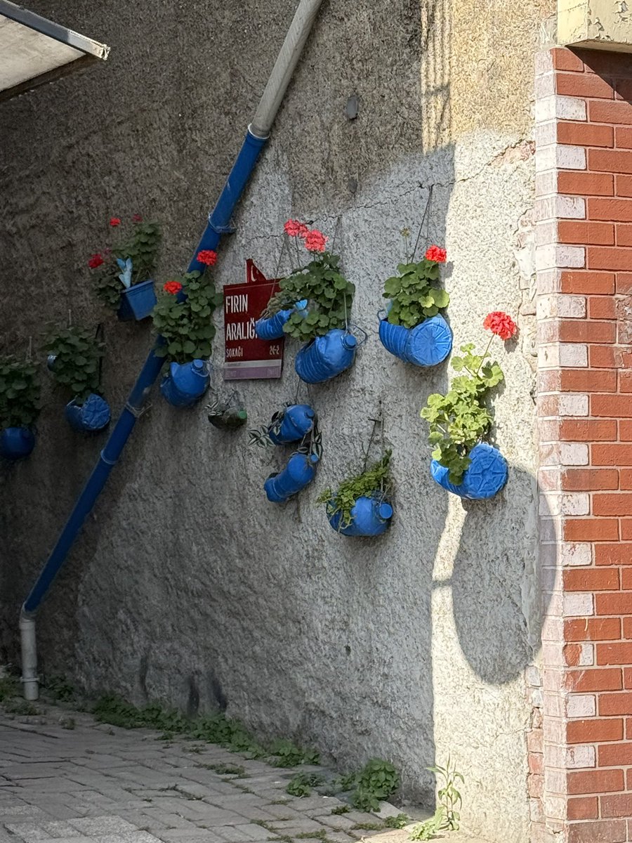 Beykoz’da güzel bir aralık