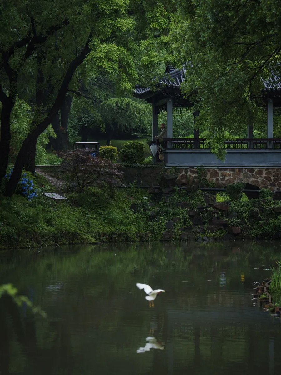 InnovativeBinhu's tweet photo. #Binhu district in #Wuxi transforms into a misty Jiangnan🪷, resembling a fairyland on earth💕, during the annual rainy season☔️, with mountains and waters that look like ink wash paintings🌈. Grab an oil-paper umbrella and enjoy the scenery😉! #ExploreBinhu https://t.co/HfBDFPn6BK