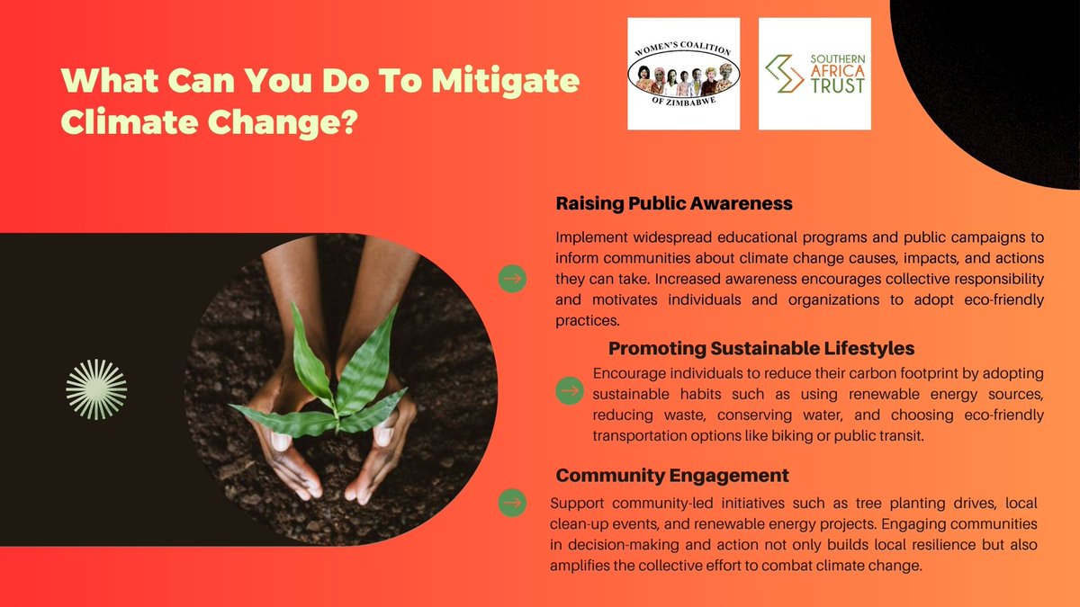 Women's Coalition of Zimbabwe tweet media