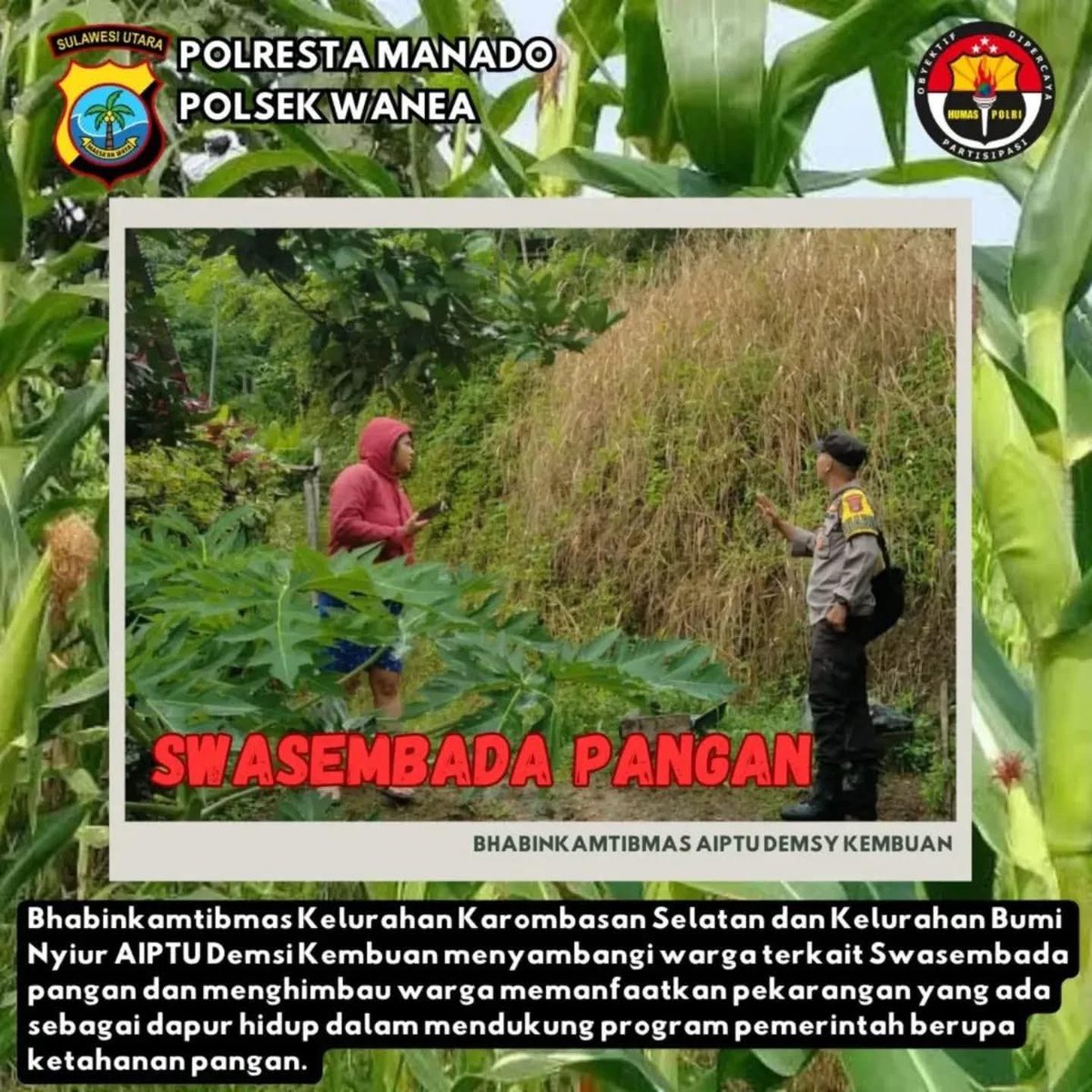 birosdm_sulut's tweet photo. Polda Sulut mendukung Swasemba dan Ketahanan Pangan Indonesia
Polri Siap Kawal dan Sukseskan Asta Cita Presiden Prabowo
#swasembadapangan 
#ketahananpangan 
#polisicintapetani
#poldasulut
#ketahananpanganpoldasulut
#swasembadapanganpoldasulut
#polri
#Polrimendukungketahananpangan https://t.co/XgZyfidzoK