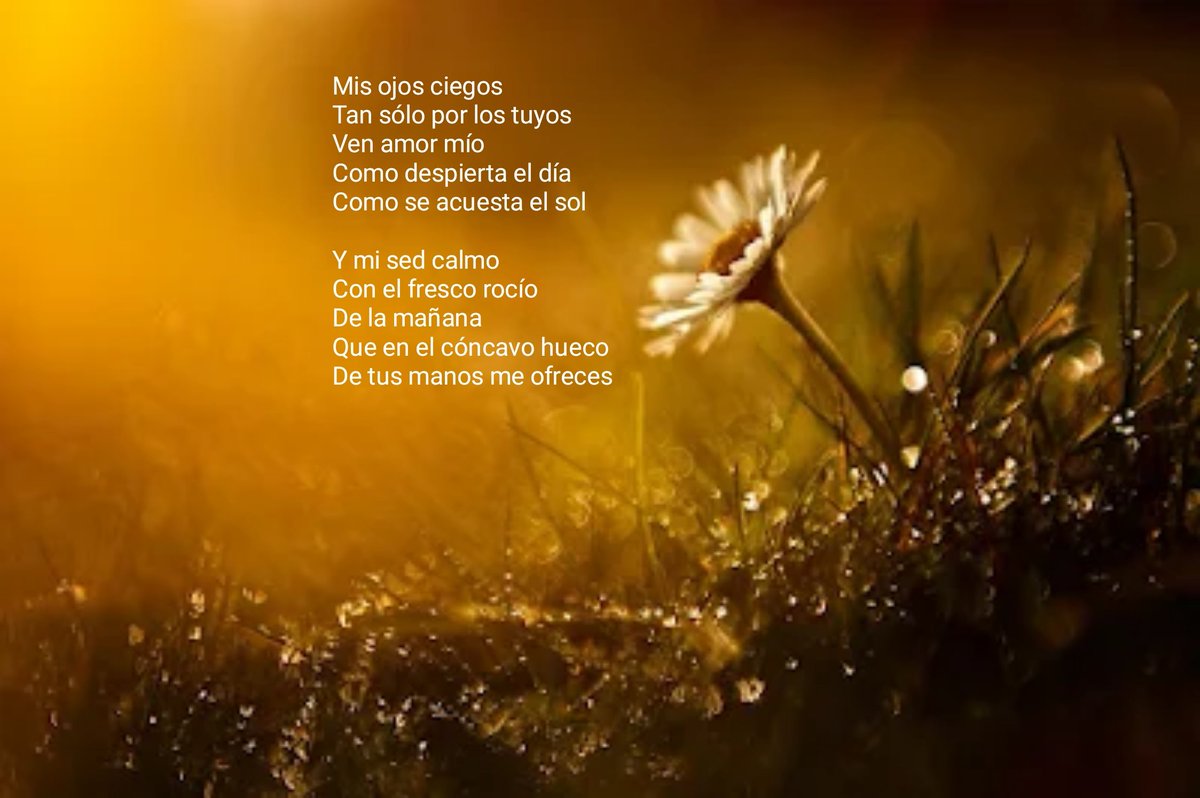 Norecantosegredo Poemas (@gondomaralori) on Twitter photo <a href="/LiberaTuVerso/">LiberaTuVerso 𖥧𖡼.𖤣𖥧𖡼.𖤣𖥧</a> <a href="/cntaengua/">Carmen Victoria 🦋</a> <a href="/ElJardinDeEva/">historiaŠintiempo</a> <a href="/frokien/">Alhambrilla</a> <a href="/inesperado07/">𝓙𝓪𝔃𝔃𝔃 🦉🦉🦉</a> <a href="/jimnez_silvia/">Silvia Luz Jiménez 🪴</a> <a href="/MarceloC61/">Claudio M</a> <a href="/marguita_41/">Margot</a> <a href="/seriesvspelis/">Ana</a> Un poema del 24 de Junio de 2024
No recanto segredo poesia: Mis ojos ciegos ( Dos tankas encadenadas ) poemasnorecantosegredo.blogspot.com/2024/06/mis-oj… <a href="/LiberaTuVerso/">LiberaTuVerso 𖥧𖡼.𖤣𖥧𖡼.𖤣𖥧</a> <a href="/cntaengua/">Carmen Victoria 🦋</a> <a href="/ElJardinDeEva/">historiaŠintiempo</a> <a href="/frokien/">Alhambrilla</a> <a href="/inesperado07/">𝓙𝓪𝔃𝔃𝔃 🦉🦉🦉</a> <a href="/jimnez_silvia/">Silvia Luz Jiménez 🪴</a> <a href="/MarceloC61/">Claudio M</a> <a href="/marguita_41/">Margot</a> <a href="/seriesvspelis/">Ana</a> Un poema del 24 de Junio de 2024
No recanto segredo poesia: Mis ojos ciegos ( Dos tankas encadenadas ) poemasnorecantosegredo.blogspot.com/2024/06/mis-oj…