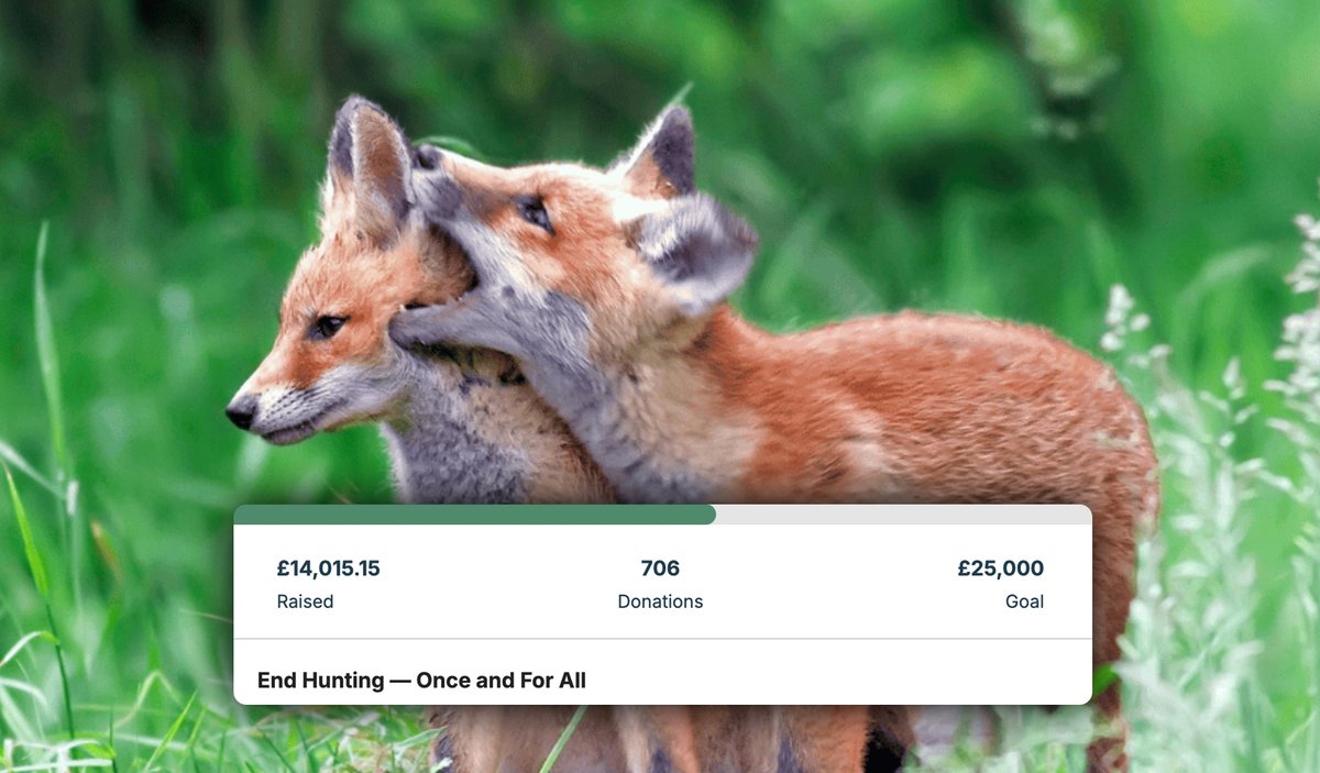 This is it. After years of fighting, we have a real shot to end hunting with hounds for good. 

A public consultation is coming. We must act. Help us raise £25k to fund mass mobilisation: leaflets, ads, actions &amp; more. 

👉 Chip in now.
donorbox.org/endhuntingwarc…