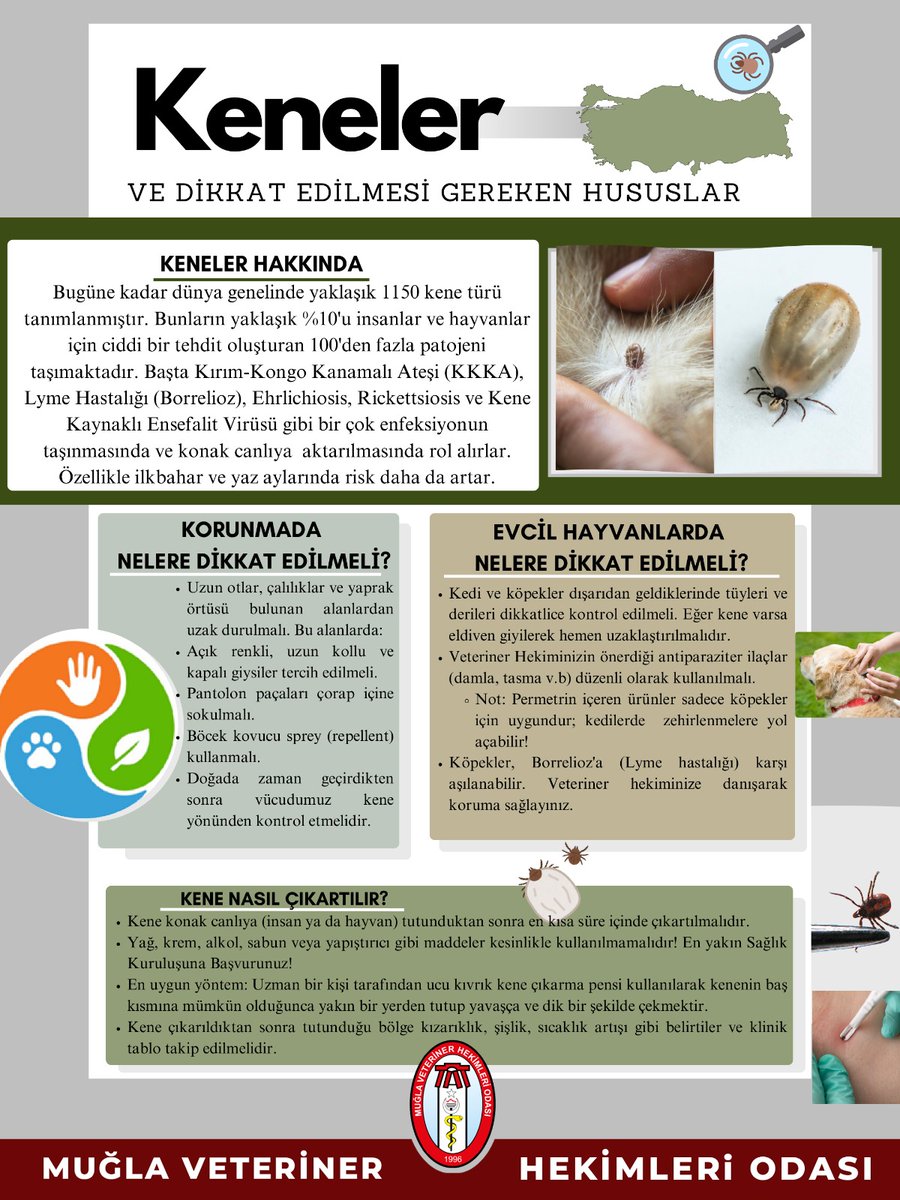 Muğla Veteriner Hekimleri Odası tweet media