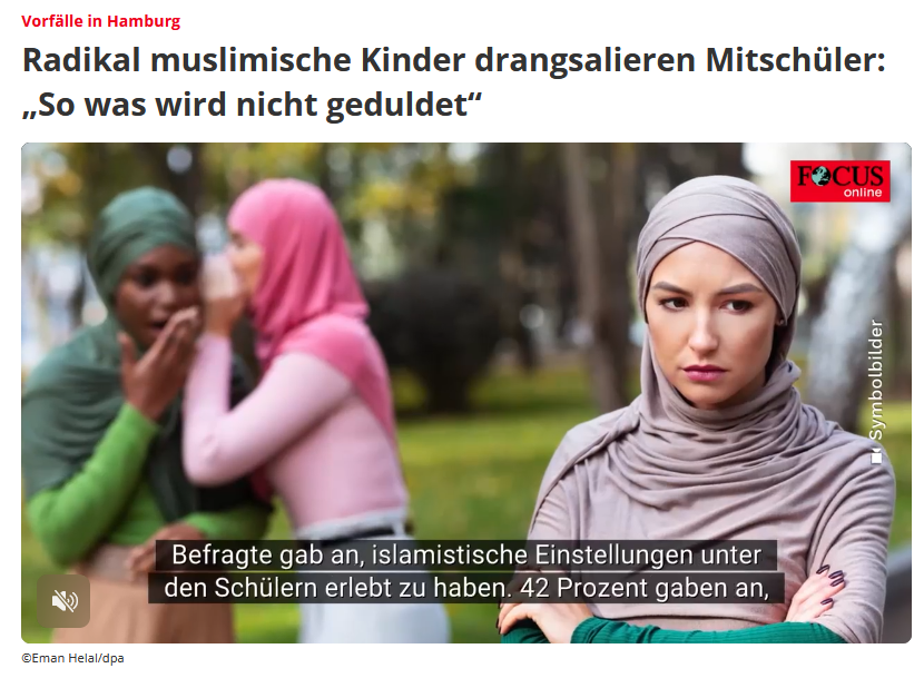 "So erzählt beispielsweise eine Mutter aus Steilshoop, dass ihr Kind („es  ist auffällig blond“) inzwischen Angst habe, zur Schule zu gehen:  Mitschüler hätten ihm wegen seines auffallend mitteleuropäischen  Aussehens mehrfach in den Rücken getreten und geschrien: ,Du gehörst