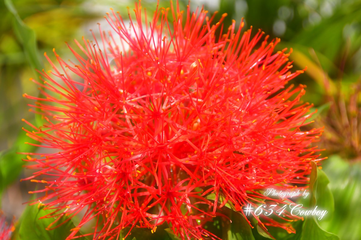 ༻❁༺༻❁༺༻❁༺༻❁༺༻❁༺༻❁༺༻❁༺༻❁༺༻❁༺༻❁༺༻❁༺༻❁༺

 　　　　　　　　　　　2025年 6月24日 火曜日
　　　　　　  ꕥ.❁⃘*⋆˚・ʚ おはようございます ɞ・˚⋆❁⃘*.ꕥ

༻❁༺༻❁༺༻❁༺༻❁༺༻❁༺༻❁༺༻❁༺༻❁༺༻❁༺༻❁༺༻❁༺༻❁༺