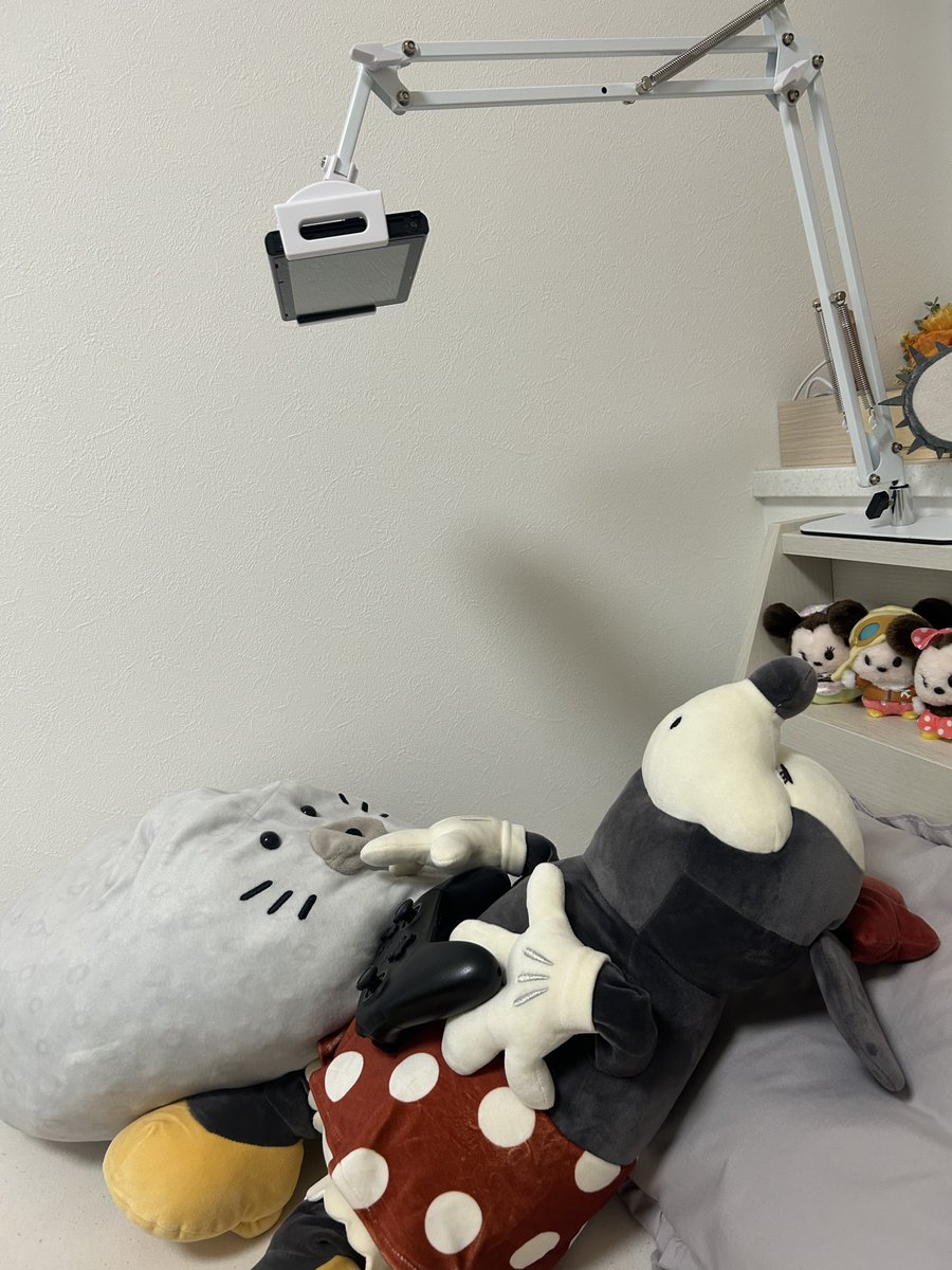 寝ながらSwitch出来るようにした！
どうして今までしてなかったのか！！