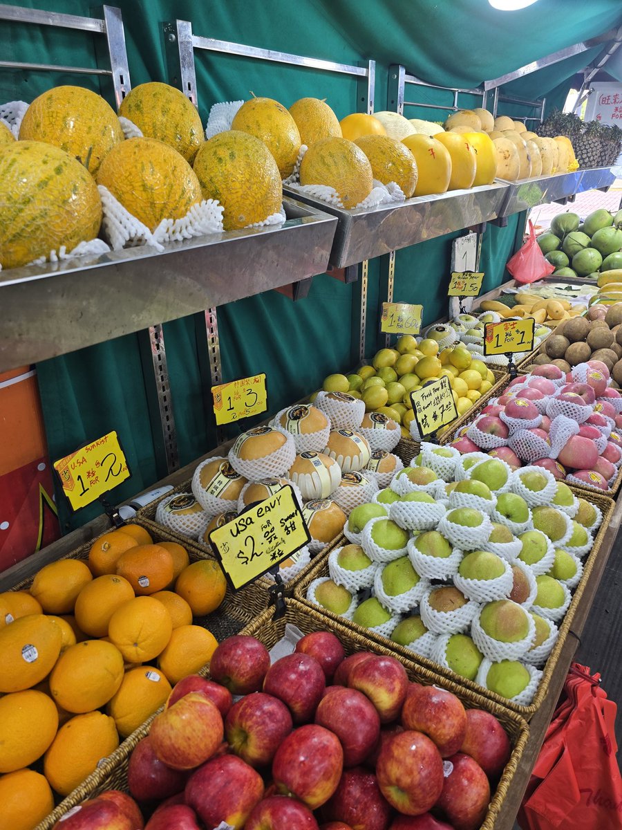 marg.jpg tweet media