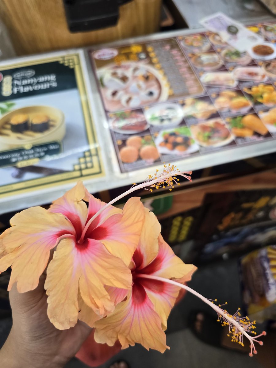 marg.jpg tweet media