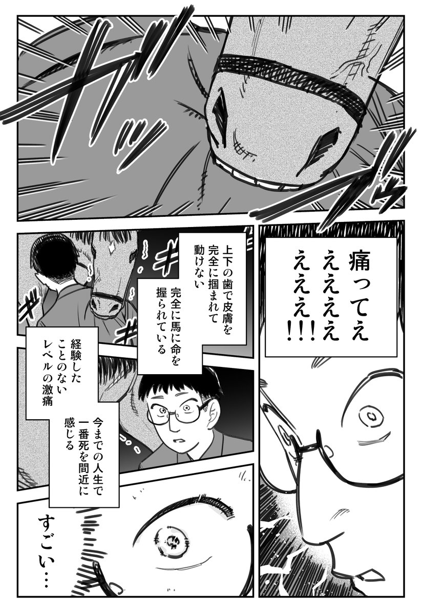 北海道で馬に噛まれて幸せになった話(0/3) 