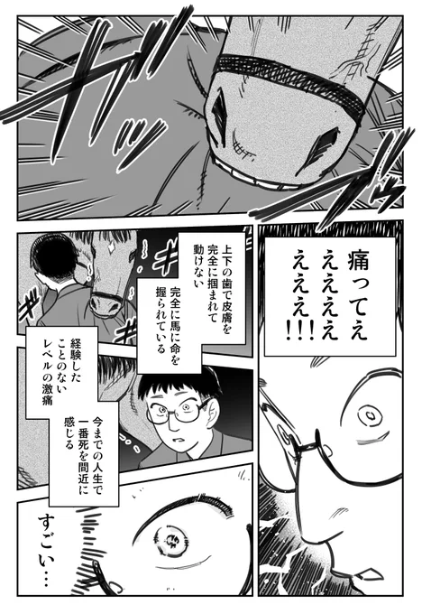 北海道で馬に噛まれて幸せになった話(0/3) 