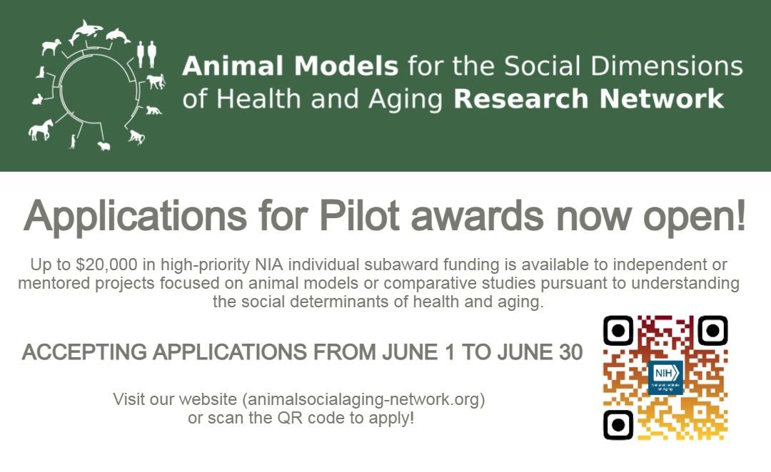 BartolomucciLab's tweet image. Reminder!!!!
📢Applications are OPEN for our Pilot awards! Individual or mentored projects available with up to $20,000 in total costs! Read the full RFA and apply at the link below!
animalsocialaging-network.org/funding/pilot-…
@animalsocaging