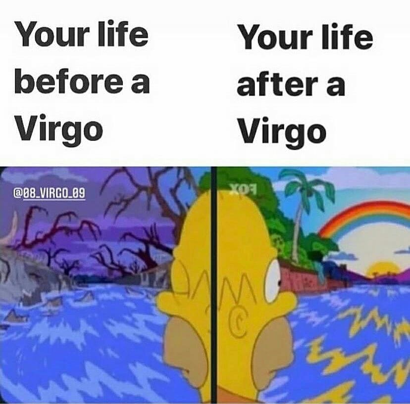 virgo life: