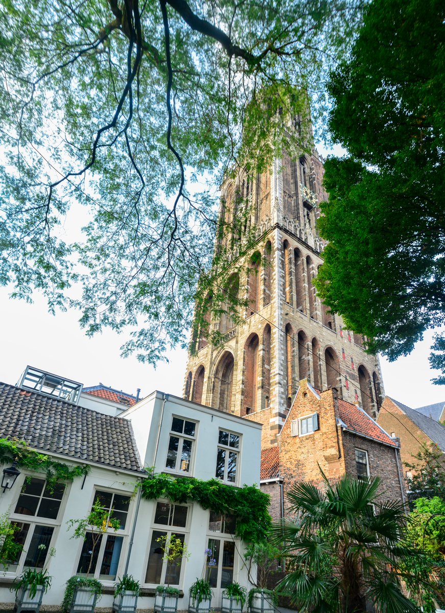 Tijdens de Open Tuinendag zijn er verschillende muzikale activiteiten. Zo geeft stadsbeiaardier <a href="/Malgosiafiebig/">Malgosia Fiebig</a> een concert op het Domcarillion. Tip: kom luisteren met dit fantastische uitzicht op de Dom vanuit Flora's Hof🌼

Een volledig overzicht vind je op onze website🎶