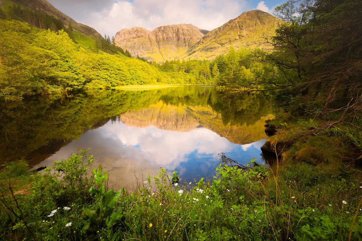 DamianShields1's tweet image. Sunshine on Torren Lochan, Glen Coe #Scotland #GlenCoe #Highlands damianshields.com