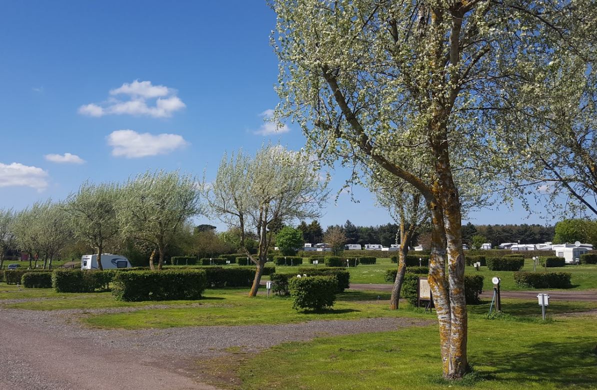 Camping_Direct's tweet image. Whether you're relaxing on the south-facing beach or taking part in the action, there's no shortage of ways to make unforgettable holiday memories at Waldegraves Holiday Park.

camping-directory.uk/593

#EssexHolidays #FamilyFun #BeachBreak #Camping #Touring #StaticCaravan #Essex