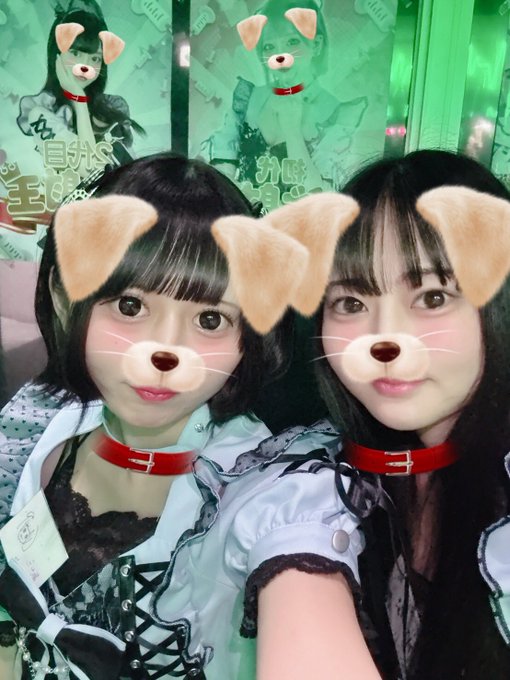 コンカフェ あるこほりっく 秋葉原院