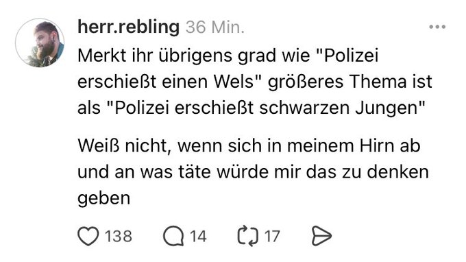 Gaucho Goldfisch tweet media