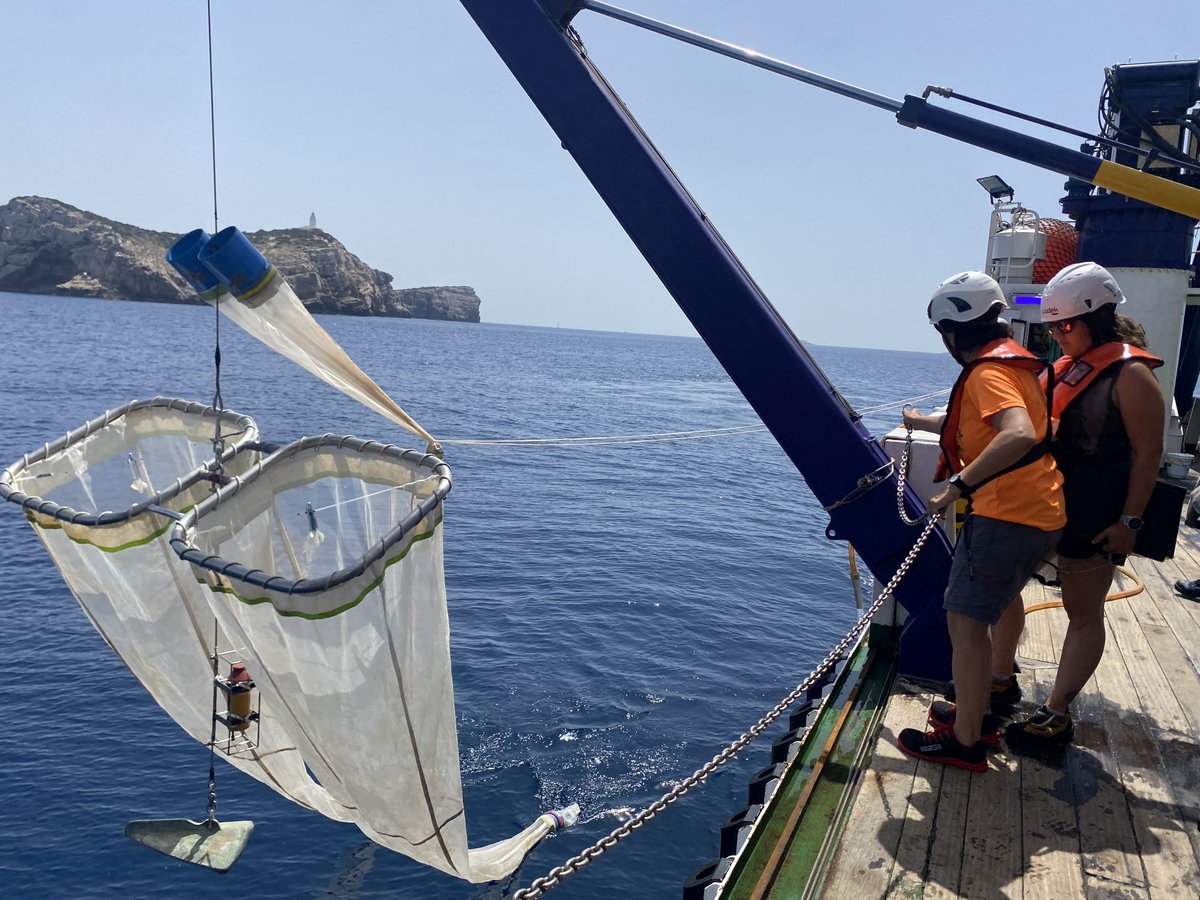🐟 Comienza la campaña #TUNIBAL para mejorar la estimación de la abundancia de atún rojo en el Mediterráneo.

El objetivo del proyecto liderado por el #IEO-CSIC persigue conocer de forma más completa el ecosistema de agua abierta de este mar.

🔗 tinyurl.com/y9ayz2p4

#FEMPA