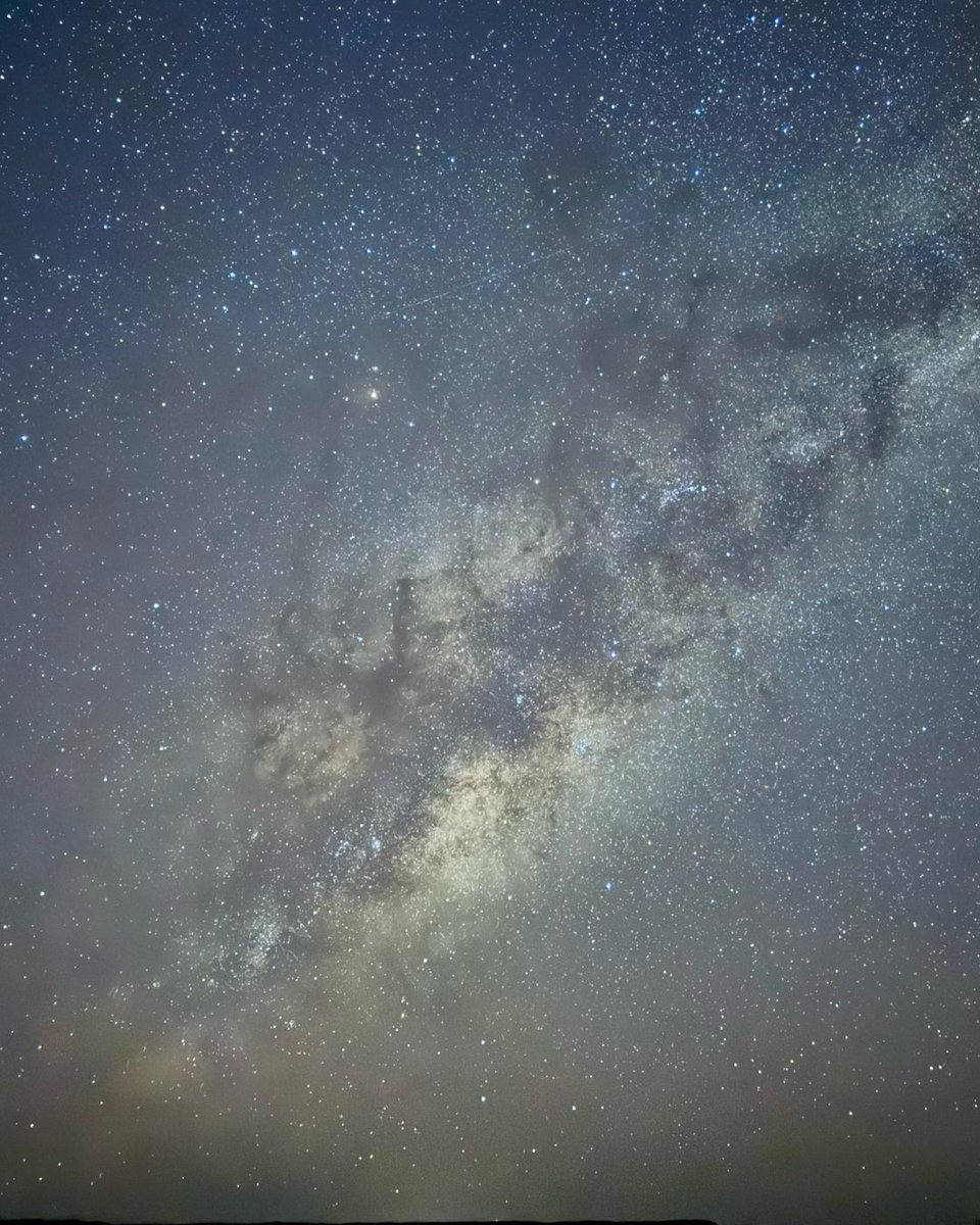 Cheetah Conservation Fund UK tweet media