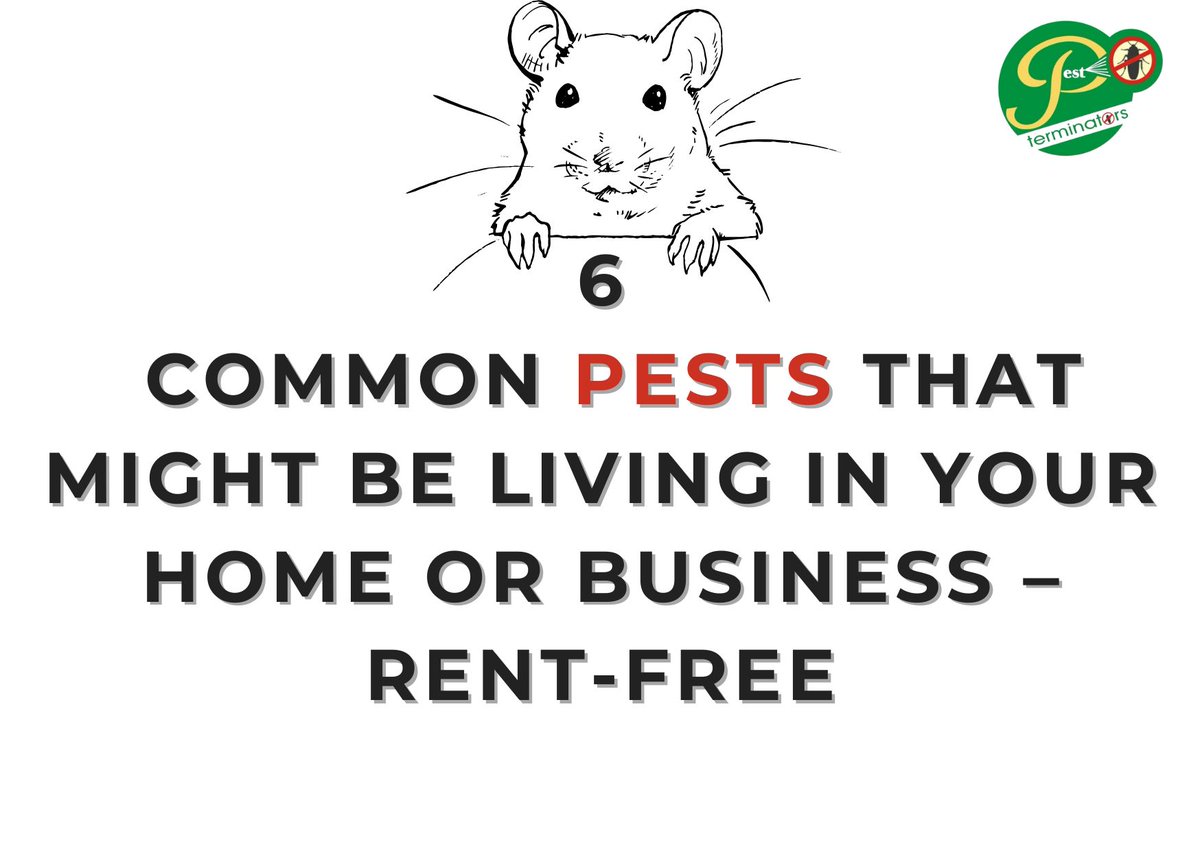 terminatorsng's tweet image. They don&apos;t Knock 
They Just Invade quietly 

Where are 6 Common Pets and how to stop them from turning your home or business into a jungle 

Thread 👇 

#pestcontrolng #englot #infestationalert #MondayMotivation Happy New Week