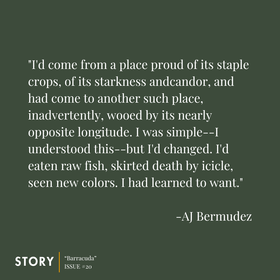 StoryLitMag's tweet image. Read “Barracuda” by @amandajbermudez in Issue #20! Get a copy here: storymagazine.org/store/issue-20…