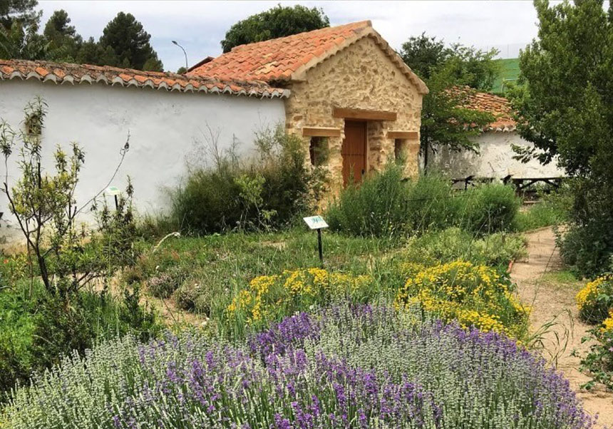 Fundación El Olmo (@fundacionelolmo) on Twitter photo El Centro Big History #ArasdelosOlmos acoge una nueva jornada sobre la #biodiversidad #botánica del #AltoTuria organizada por la <a href="/UV_EG/">Universitat València</a> <a href="/ArasdelosOlmos1/">Aras de los Olmos</a> <a href="/levante_emv/">Levante-EMV</a> <a href="/lasprovincias/">LAS PROVINCIAS</a> <a href="/valenciaplaza/">Valencia Plaza</a> <a href="/elperiodic/">elperiodic.com</a> <a href="/elperiodicoaqui/">El Periódico de Aquí</a> <a href="/RevistaMasTuria/">Serranía-Rincón de Ademuz TV</a> <a href="/tucomarca/">tucomarca.com</a> fundacionelolmo.org/biodiversidad-… El Centro Big History #ArasdelosOlmos acoge una nueva jornada sobre la #biodiversidad #botánica del #AltoTuria organizada por la <a href="/UV_EG/">Universitat València</a> <a href="/ArasdelosOlmos1/">Aras de los Olmos</a> <a href="/levante_emv/">Levante-EMV</a> <a href="/lasprovincias/">LAS PROVINCIAS</a> <a href="/valenciaplaza/">Valencia Plaza</a> <a href="/elperiodic/">elperiodic.com</a> <a href="/elperiodicoaqui/">El Periódico de Aquí</a> <a href="/RevistaMasTuria/">Serranía-Rincón de Ademuz TV</a> <a href="/tucomarca/">tucomarca.com</a> fundacionelolmo.org/biodiversidad-…