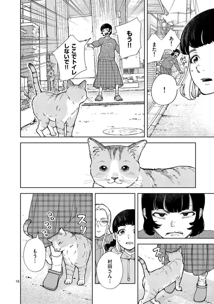 迷惑な野良ネコの"駆除”を依頼した話