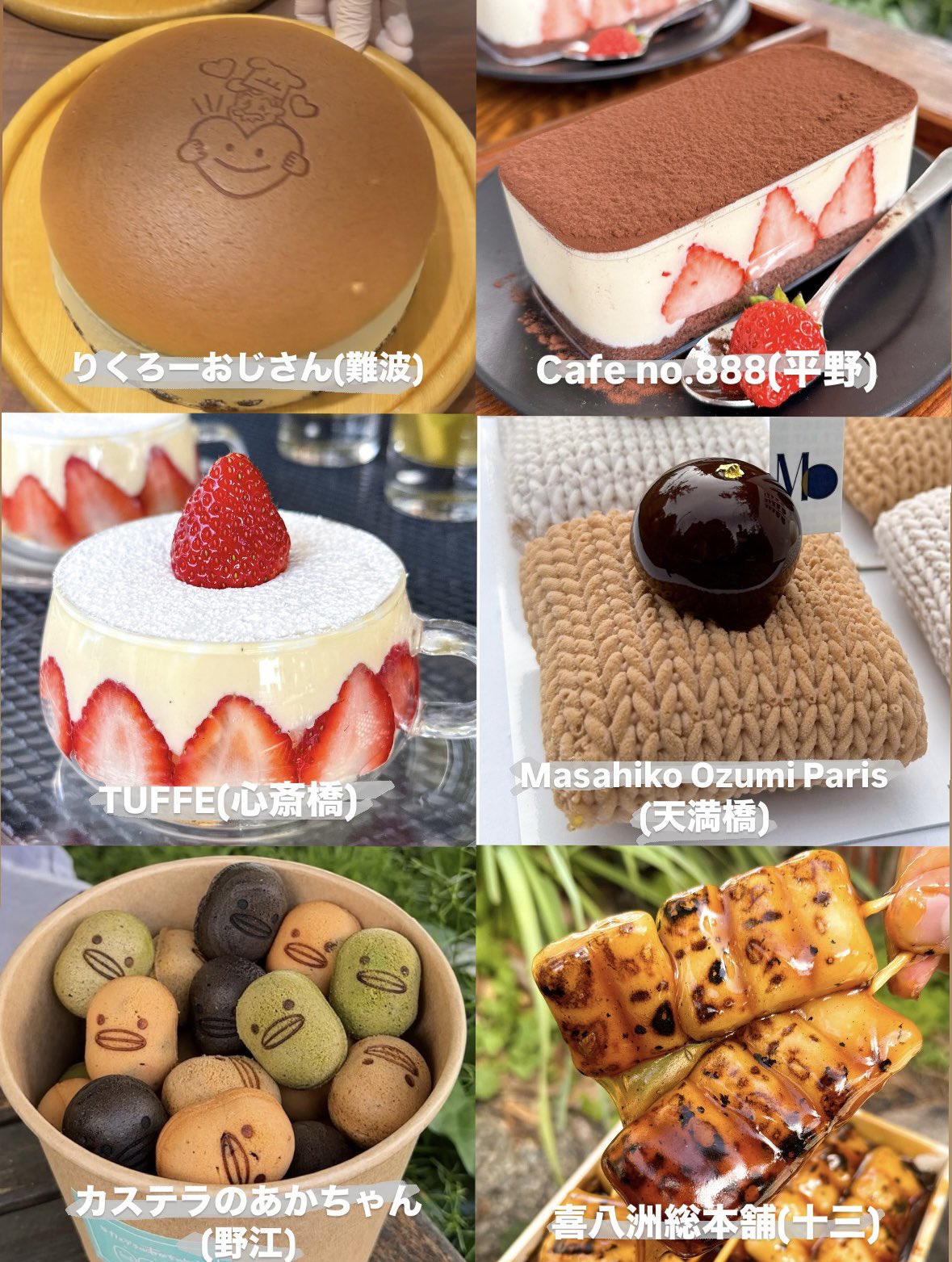 はらぺこあおむし ペタペタ＆すくすく栽培セット - SEISHIN PLUS