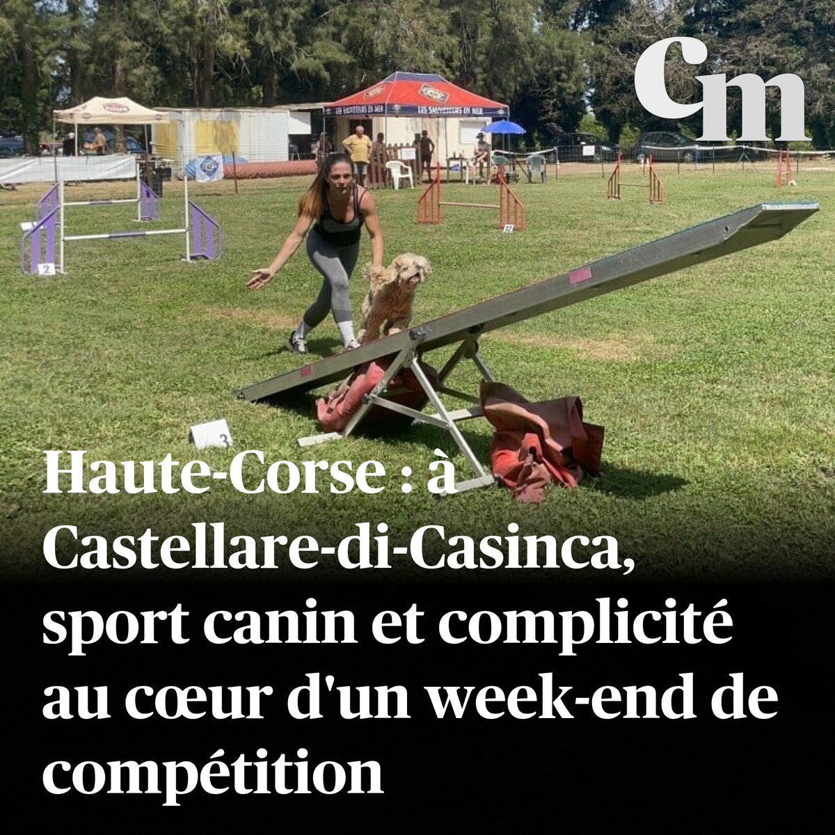 À Castellare-di-Casinca, en Haute-Corse, sport canin et complicité au cœur d'un week-end de compétition
➡️ sur.corsematin.com/OyV