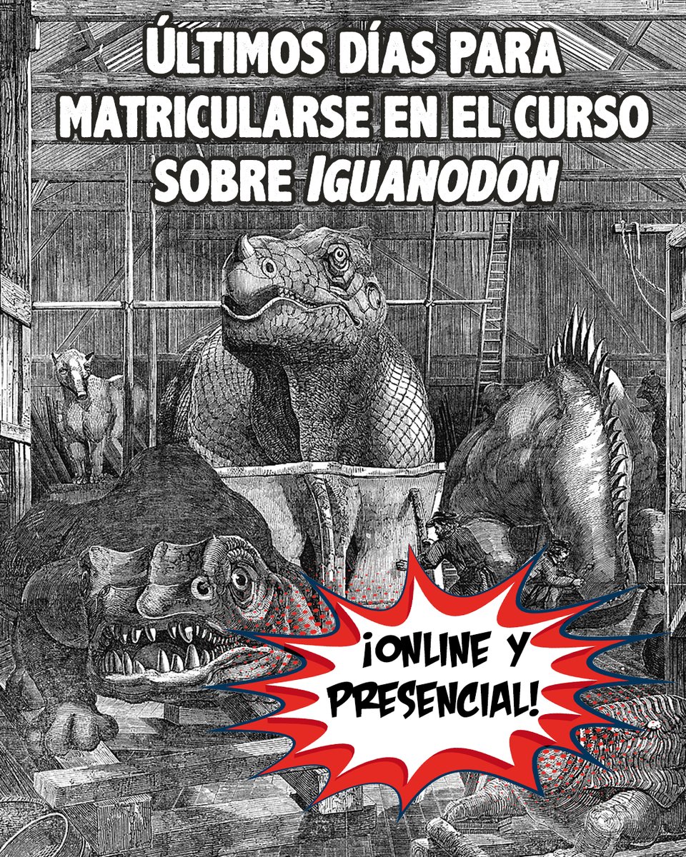 Godzillin's tweet image. 🚨 ¡ÚLTIMO AVISO! 🚨
Inscríbete ya en el curso de verano de la @UNED "Bicentenario de la descripción de #Iguanodon" y celebra en #Morella los 200 años de este icónico #dinosaurio:
▶️ godzillin.blogspot.com/2025/06/bicent…
▶️ extension.uned.es/actividad/idac…
#CursosDeVerano #CursosVeranoUNED