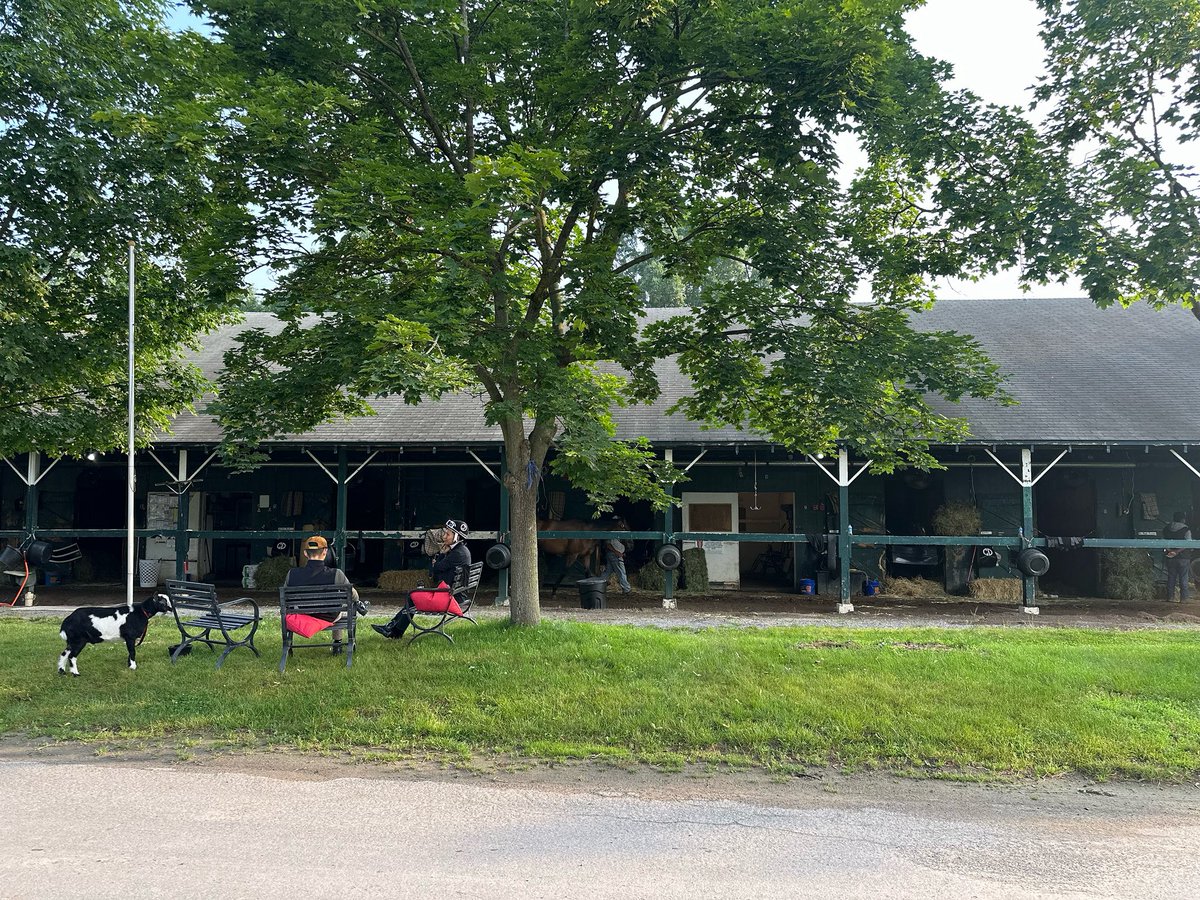 An ode to occupying barn 83 at Saratoga.