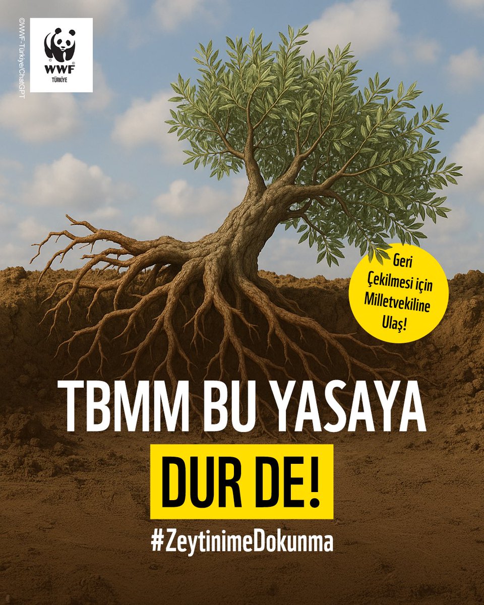 📣 Zeytin, doğa, gelecek için: Ses Ver!

🌿 ⚠️ Zeytinlikler, korunan alanlar, kültürel varlıklar ve meralar Meclis’e gelecek yasa teklifi ile tehdit altında! Doğanın geleceğini tehdit eden bu teklif acilen geri çekilmeli.

‼️ Komisyondan Meclis Genel Kurulu’na gönderilen yasa