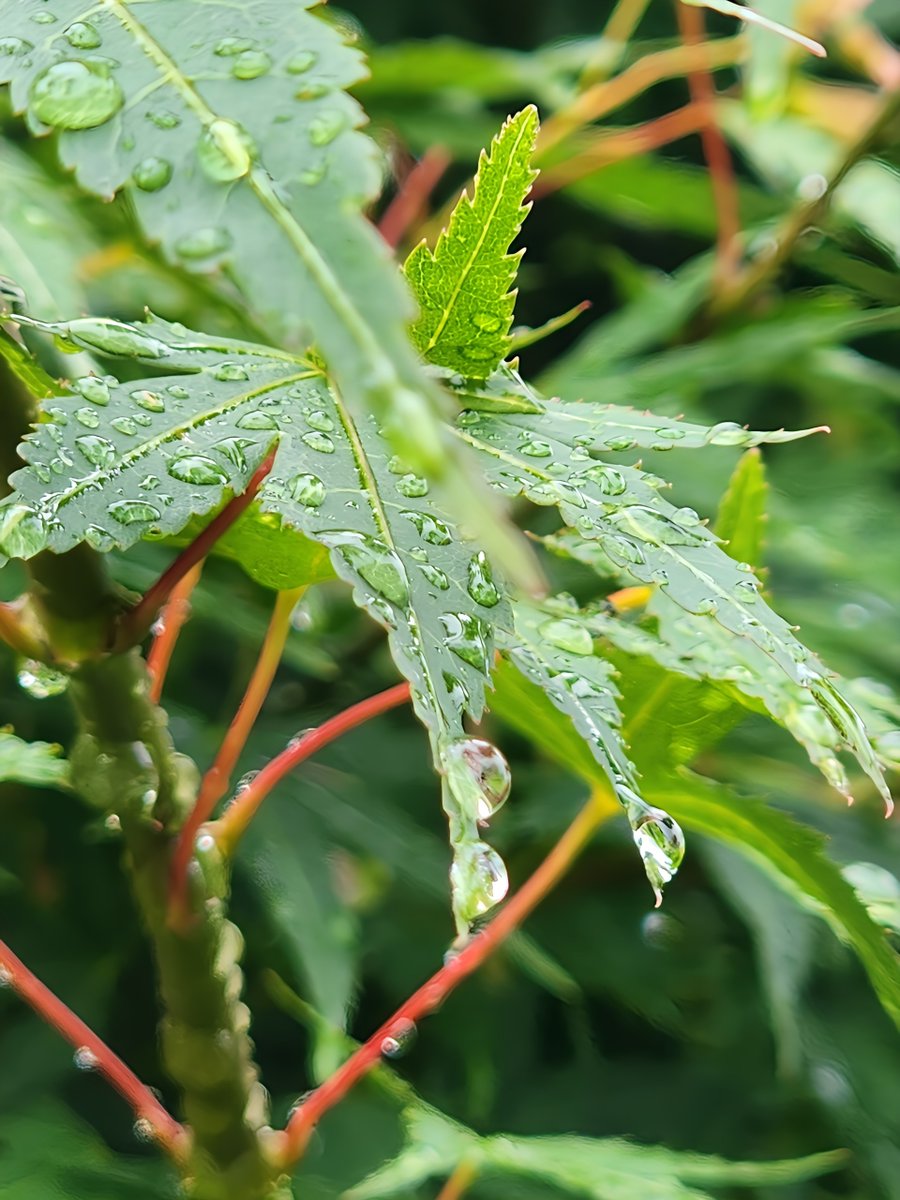 お疲れさま🤗🥂⸝⋆͛*