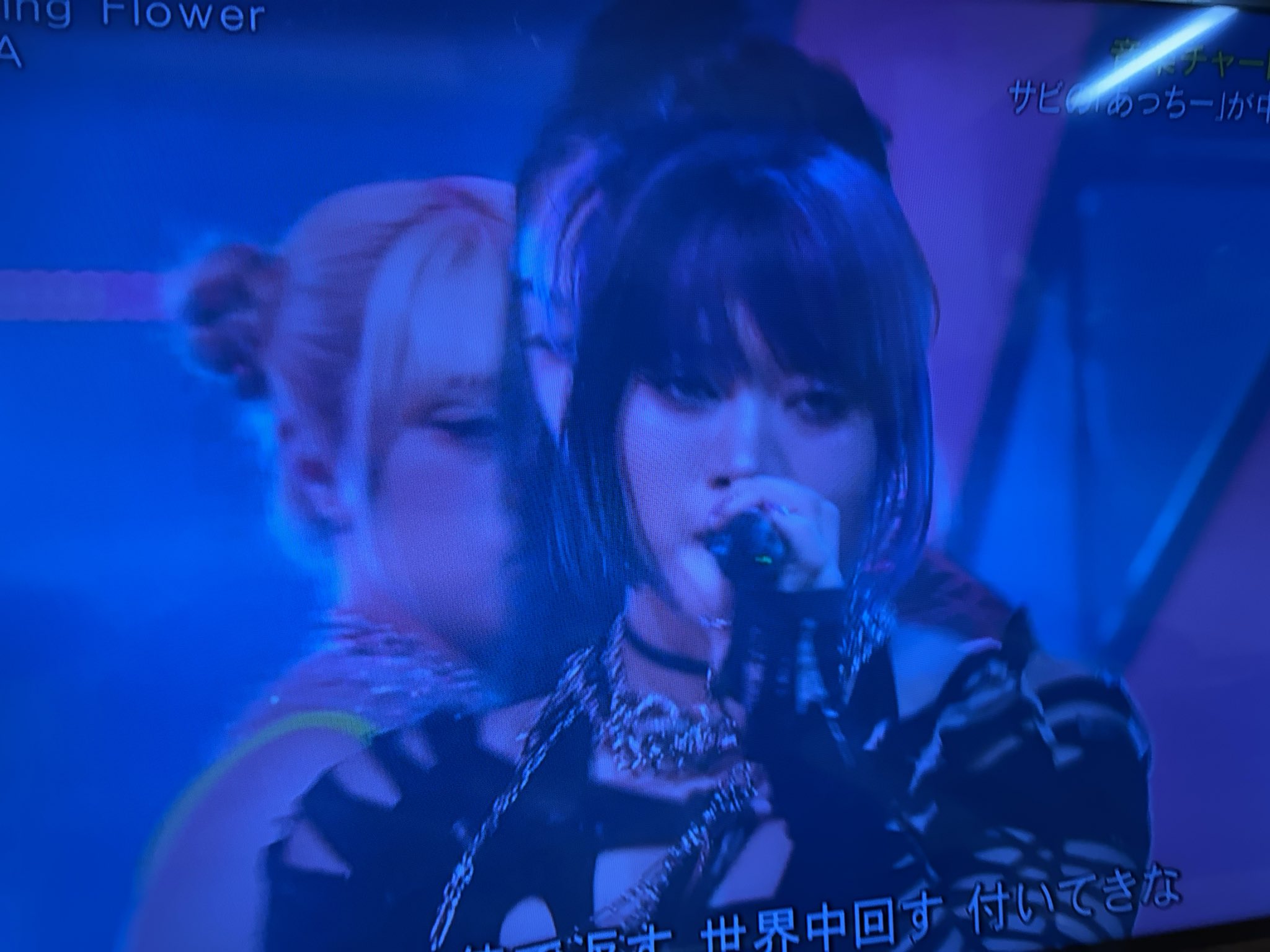 Hana - Search / X